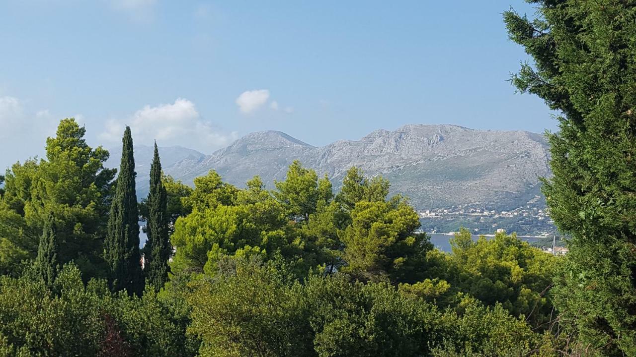 Guest House Sol Cavtat Dış mekan fotoğraf